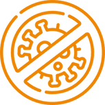 no virus